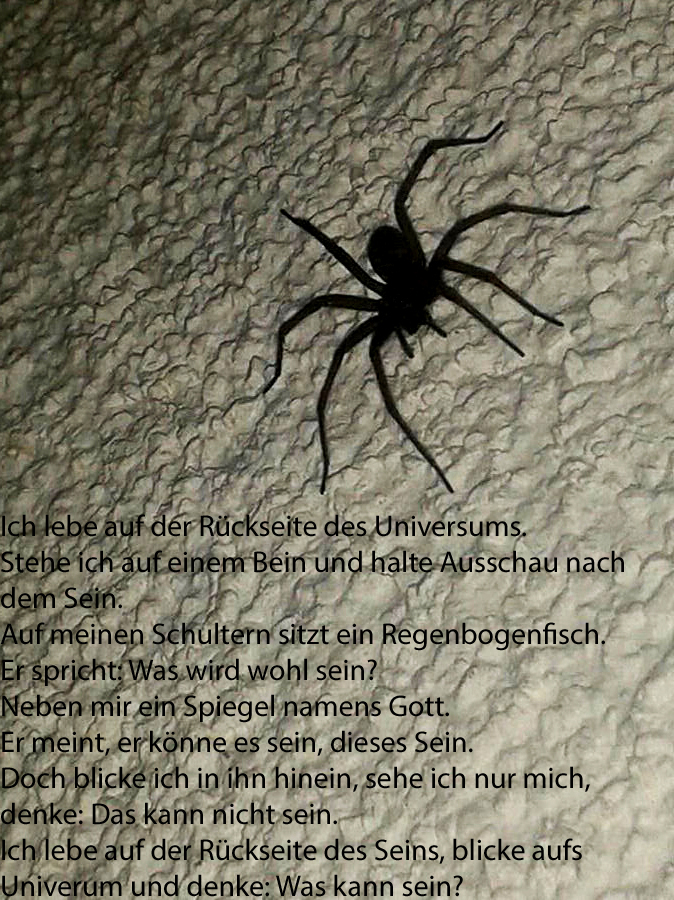 Bild