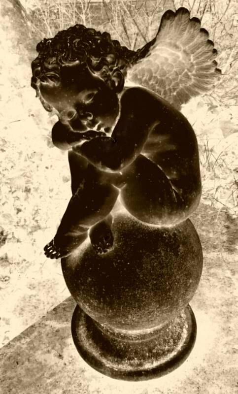 Bild
